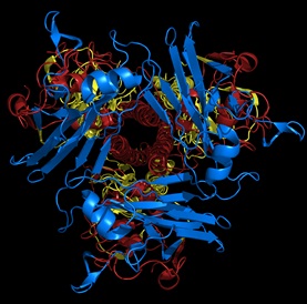 Protein Crosslinkers