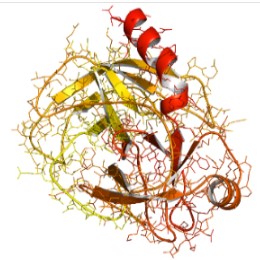 Sulfo-NHS and NHS Esters in Protein Chemistry Sulfo-NHS and NHS Esters in Protein Chemistry