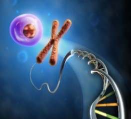Crosslinking Proteins With DTSSP Crosslinking Proteins With DTSSP