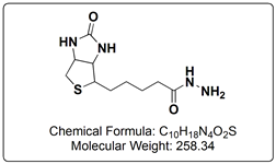 Biotin-Hydrazide