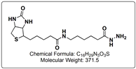 Biotin-LC Hydrazide