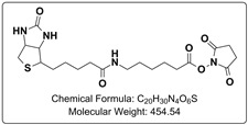 NHS-LC-Biotin (NHS-X-Biotin)