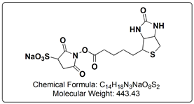 Sulfo-NHS Biotin