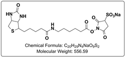 Sulfo-NHS LC-Biotin (Sulfo NHS-X-Biotin) 