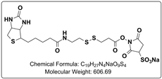 Sulfo-NHS-SS-Biotin