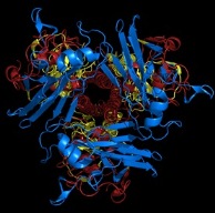 Protein Crosslinkers-Homobifunctional