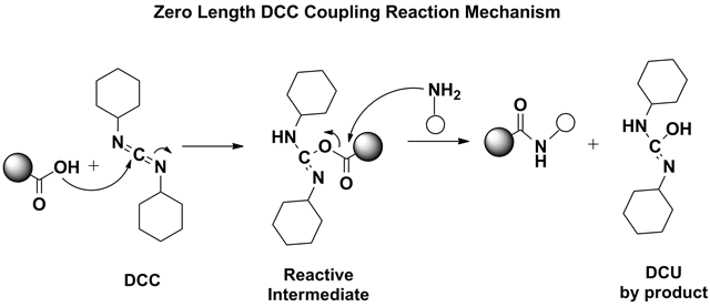 DCC Coupling Reaction Mechanism